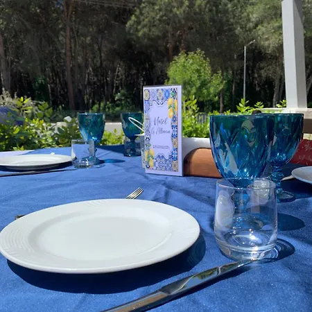 Hostal Garden Albania